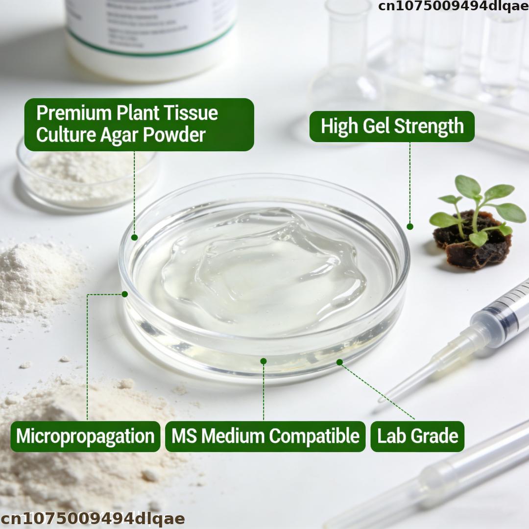 Bubuk Agar Kultur Jaringan Tan - Agar Tissue Culture ulasan dan harga