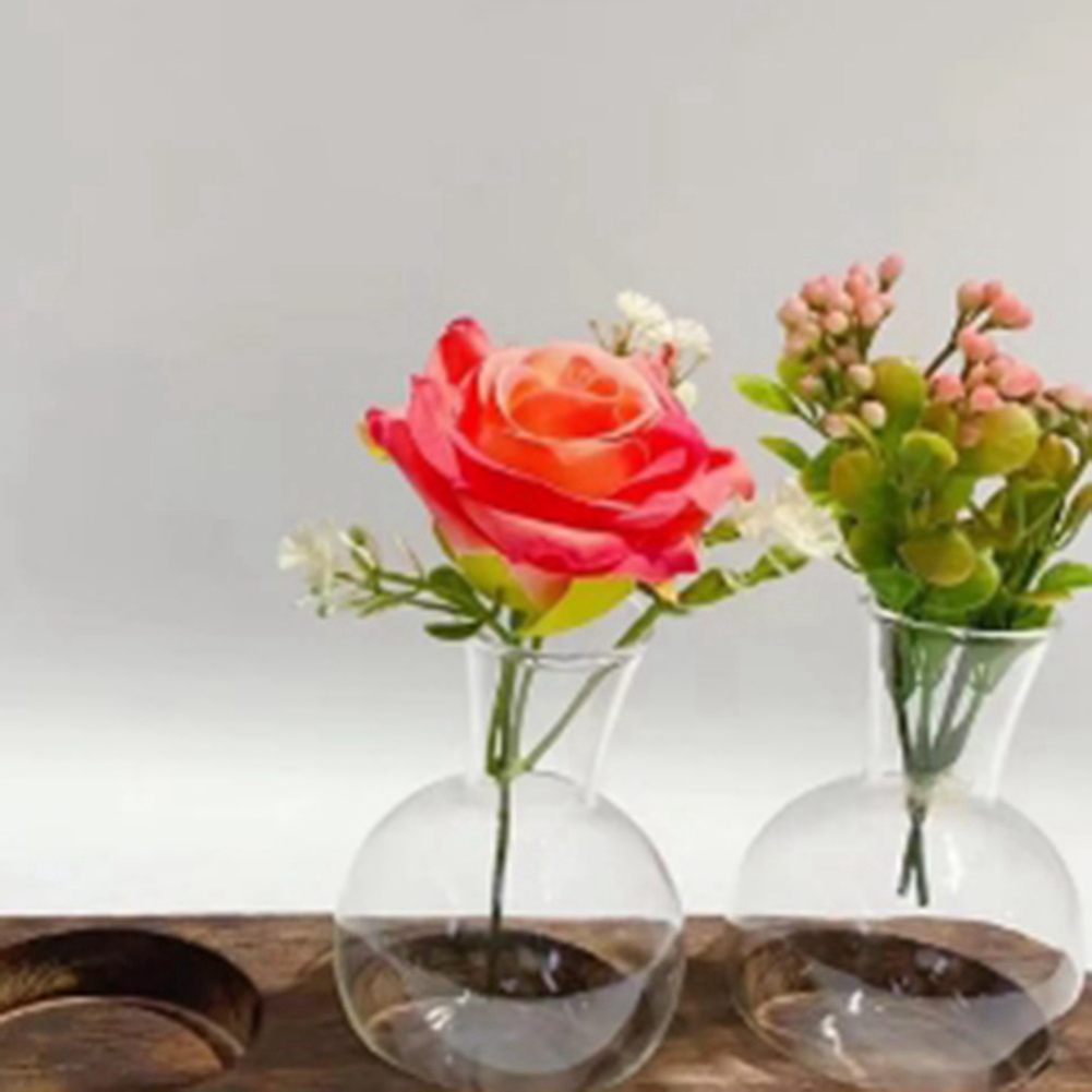 75STO-Vas Tanaman Hidroponik S - Propagation Station Vase ulasan dan harga