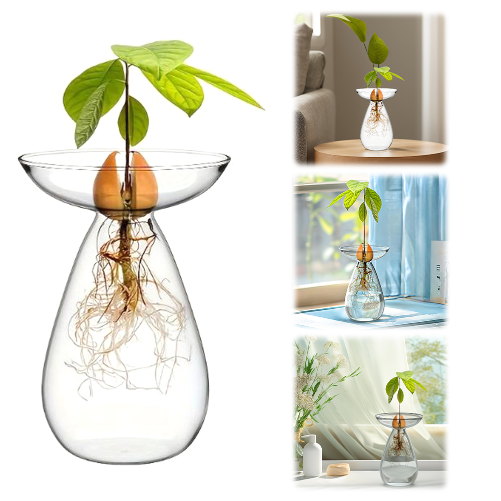 Vas Pembibitan Biji Alpukat Tr - Propagation Station Vase ulasan dan harga