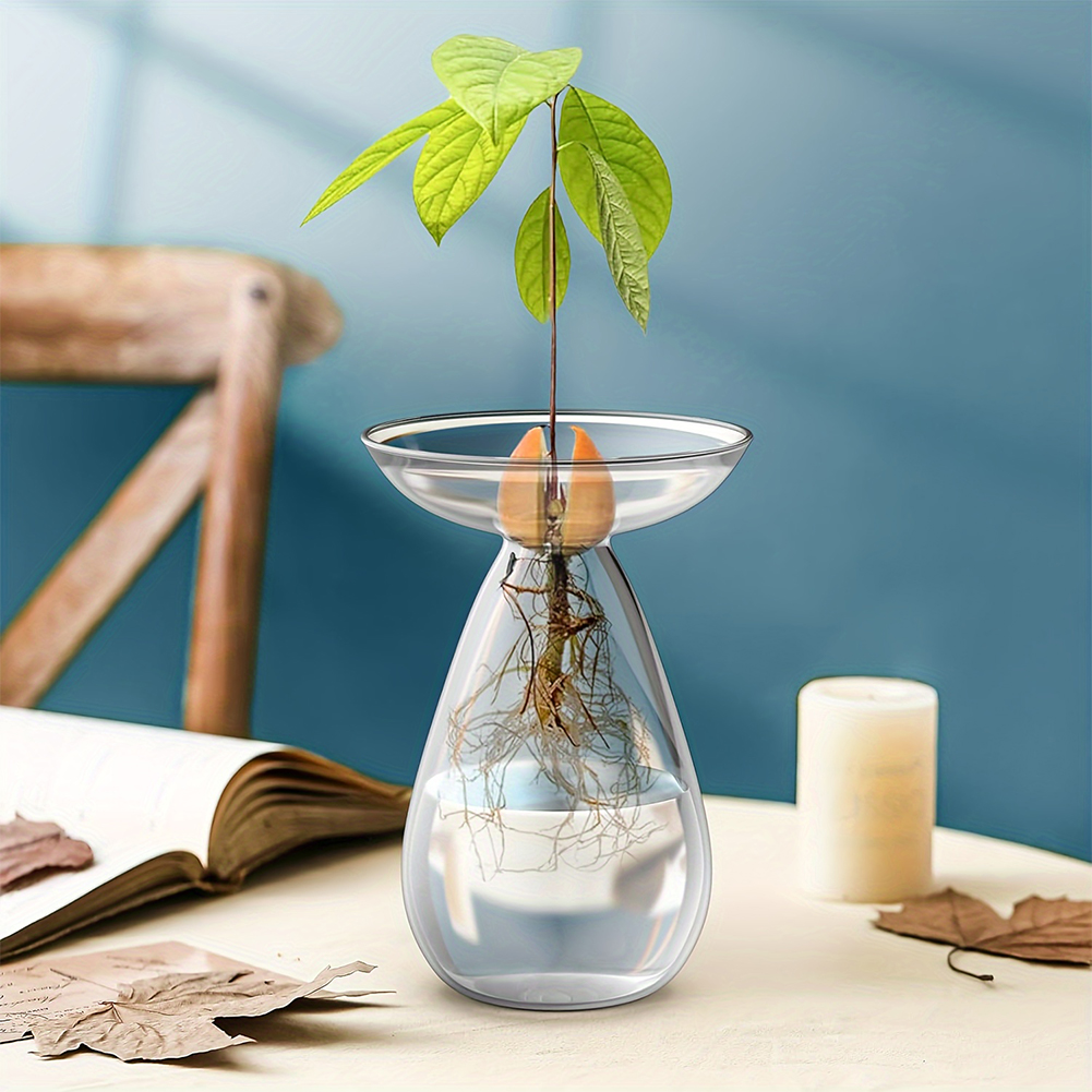 Vas Pembibitan Biji Alpukat Tr - Propagation Station Vase ulasan dan harga