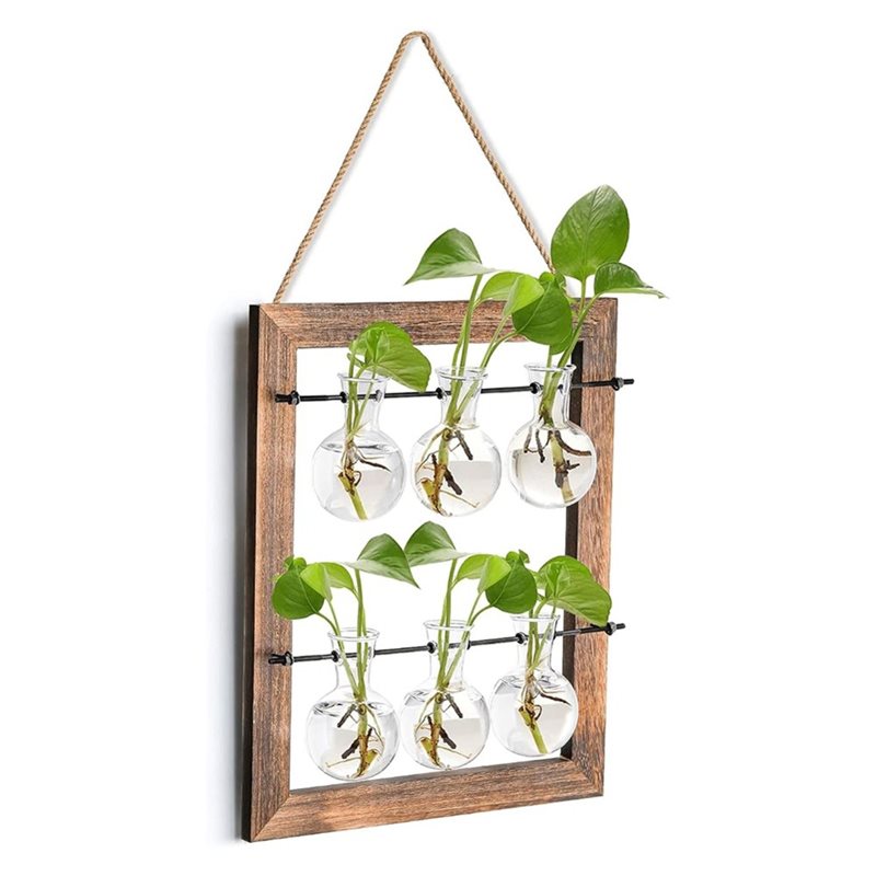 Stasiun Perbanyakan Tanaman Ga - Propagation Station Vase ulasan dan harga