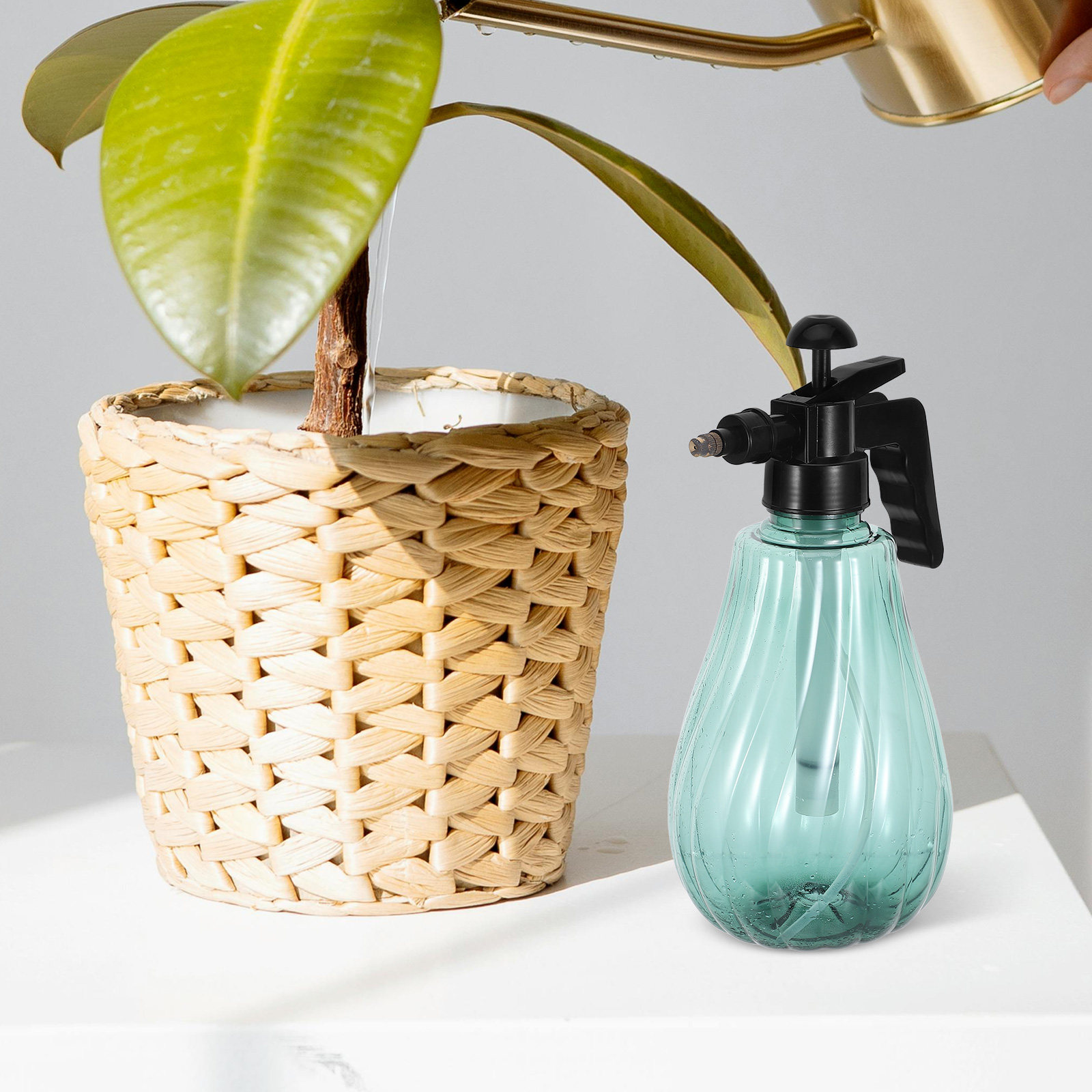 Semprotan Mandi Hewan Pelihara - Misting Bottle Fine ulasan dan harga